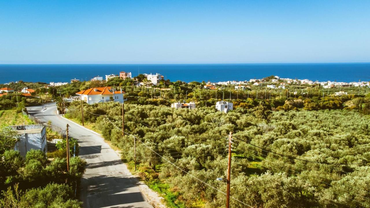 Nikola's Vineyard * Agia (Chania, Crete)