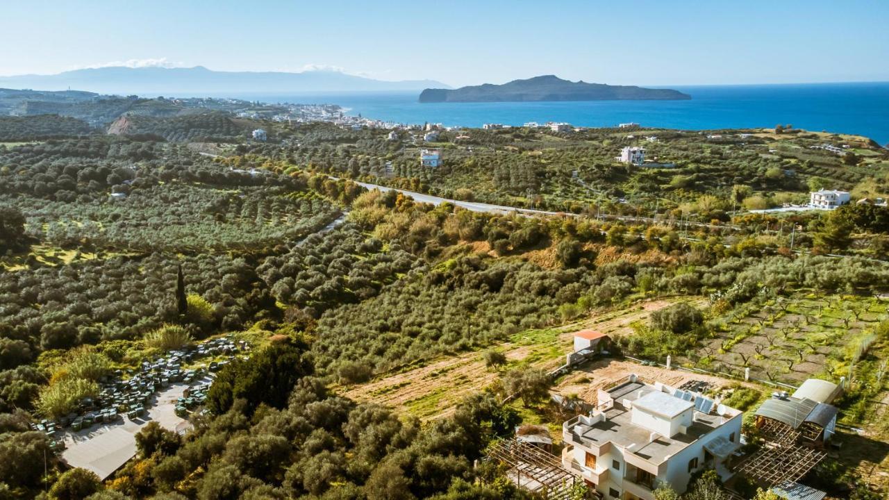Nikola's Vineyard דירה